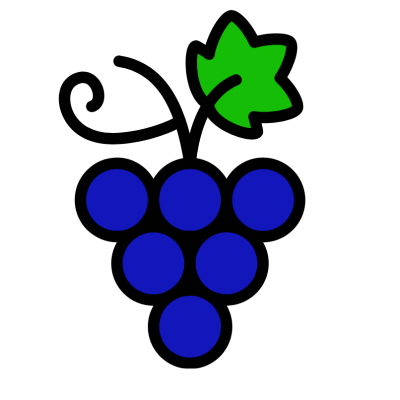Domaine de la bougarde grappe couleurs